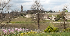 St Emilion seen from Pavie Macquin
