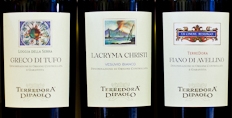 Terredora and the extraordinary indigenous grapes of Campania