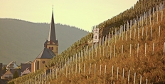 Zeltingen from the Sonnenuhr vineyard
