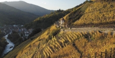 Clos St-Urbain, Rangen de Thann vineyard