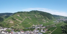 Recher Herrenberg vineyard, Ahr