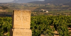 CVNE Vina Real vineyards