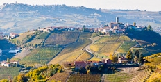 Castiglione, surrounded by the vineyards of Barolo