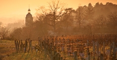 The folly in Clos Du Bourg - Vouvray