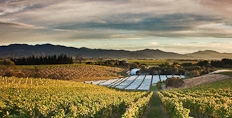 Dog Point vineyards, Marlborough