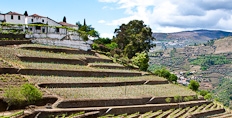 Quinta Do Noval in the Douro valley