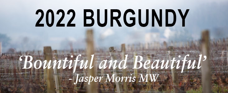 2022 Burgundy text over Chambolle-Musigny vineyard in winter