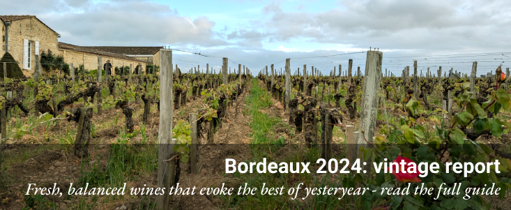 Bordeaux 2024: vintage report