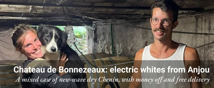 Chateau de Bonnezeaux: electric whites from Anjou