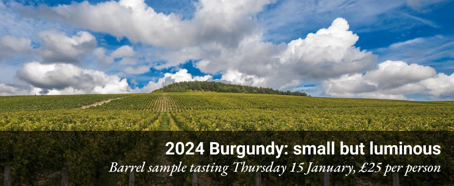 2024 Burgundy en primeur