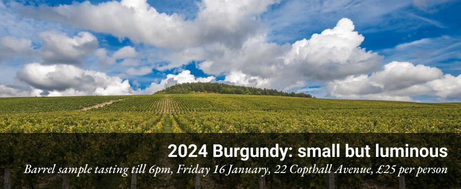 2024 Burgundy en primeur
