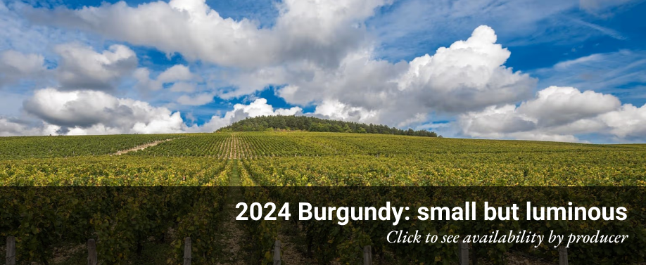 2024 Burgundy availability by producer