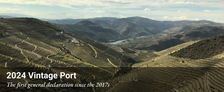 2024 Port homepage