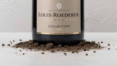 6-for-5 on Champagne Louis Roederer Collection 246