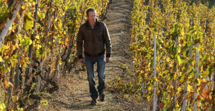 Vincent Paris in the vineyard