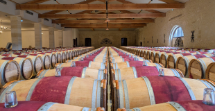 Barrel cellar at Leoville Barton