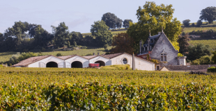 Clos la Gaffeliere