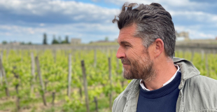 Nicolas Audebert in the vineyards
