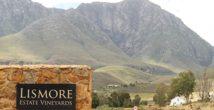 Lismore Estate Vineyards