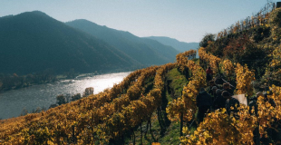 Weingut Prager